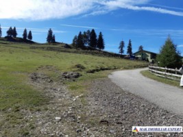 teren-intravilan-1000-mp-de-vanzare-in-dambovicioara-dealul-sasului-arges-9