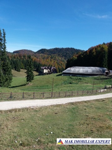 teren-intravilan-1000-mp-de-vanzare-in-dambovicioara-dealul-sasului-arges-13