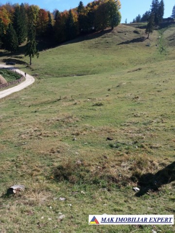 teren-intravilan-1000-mp-de-vanzare-in-dambovicioara-dealul-sasului-arges-15