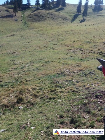 teren-intravilan-1000-mp-de-vanzare-in-dambovicioara-dealul-sasului-arges-16