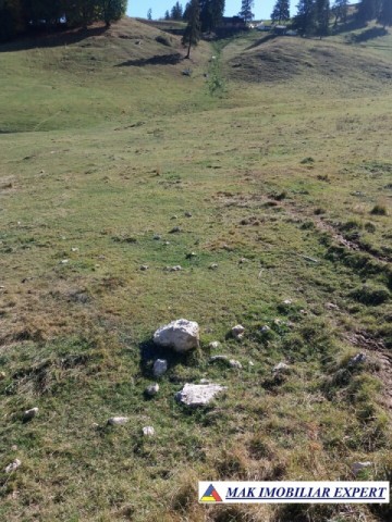 teren-intravilan-1000-mp-de-vanzare-in-dambovicioara-dealul-sasului-arges-18