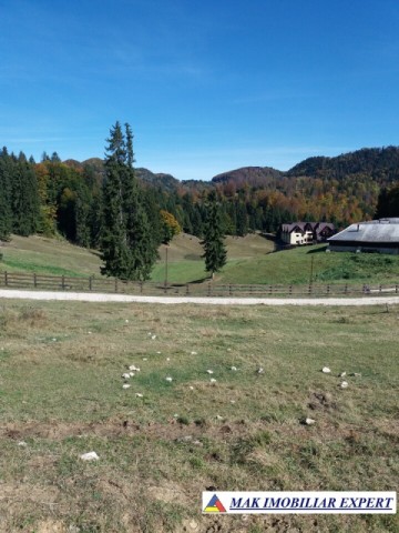 teren-intravilan-1000-mp-de-vanzare-in-dambovicioara-dealul-sasului-arges-19