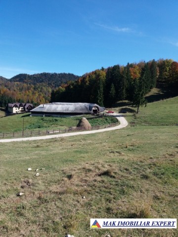 teren-intravilan-1000-mp-de-vanzare-in-dambovicioara-dealul-sasului-arges-20