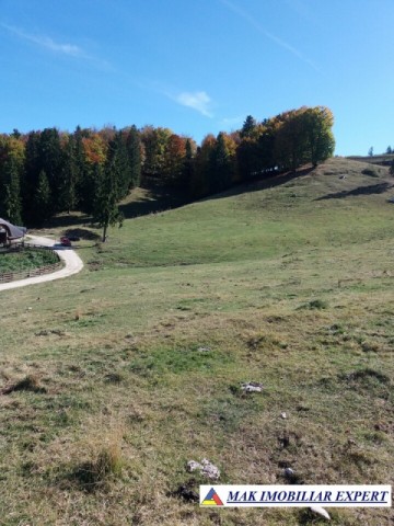 teren-intravilan-1000-mp-de-vanzare-in-dambovicioara-dealul-sasului-arges-21