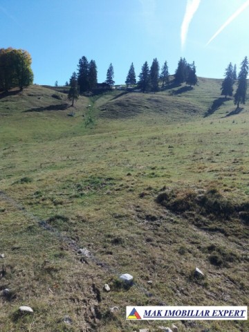 teren-intravilan-1000-mp-de-vanzare-in-dambovicioara-dealul-sasului-arges-22