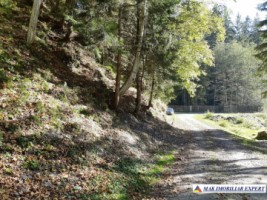 vand-teren-forestier-de-458-ha-cu-cabana-voina-leresti-arges-3