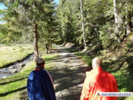 vand-teren-forestier-de-458-ha-cu-cabana-voina-leresti-arges-4