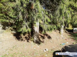 vand-teren-forestier-de-458-ha-cu-cabana-voina-leresti-arges-7