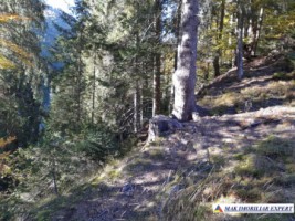 vand-teren-forestier-de-458-ha-cu-cabana-voina-leresti-arges-9