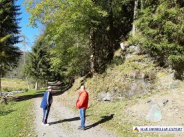 vand-teren-forestier-de-458-ha-cu-cabana-voina-leresti-arges-11