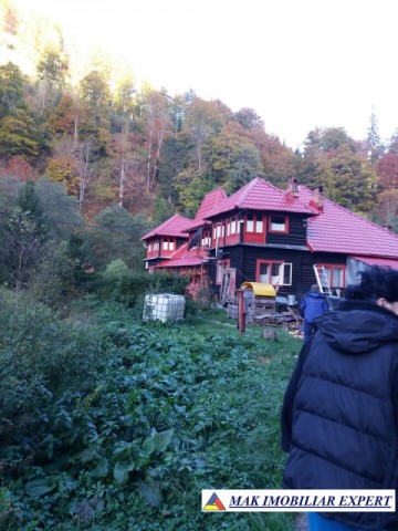 teren-extravilan-5005-mp-de-vanzare-rucar-satic-arges-ideal-pentru-proiecte-agricole-recreative-sau-de-investitie-in-turism-3
