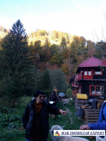 teren-extravilan-5005-mp-de-vanzare-rucar-satic-arges-ideal-pentru-proiecte-agricole-recreative-sau-de-investitie-in-turism-4