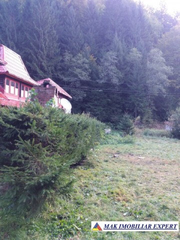 teren-extravilan-5005-mp-de-vanzare-rucar-satic-arges-ideal-pentru-proiecte-agricole-recreative-sau-de-investitie-in-turism-6