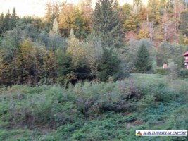 teren-extravilan-5005-mp-de-vanzare-rucar-satic-arges-ideal-pentru-proiecte-agricole-recreative-sau-de-investitie-in-turism-11