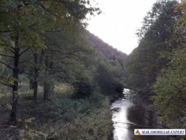 teren-extravilan-5005-mp-de-vanzare-rucar-satic-arges-ideal-pentru-proiecte-agricole-recreative-sau-de-investitie-in-turism-12