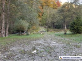 teren-extravilan-5005-mp-de-vanzare-rucar-satic-arges-ideal-pentru-proiecte-agricole-recreative-sau-de-investitie-in-turism-13