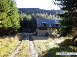 teren-extravilan-5005-mp-de-vanzare-rucar-satic-arges-ideal-pentru-proiecte-agricole-recreative-sau-de-investitie-in-turism-16