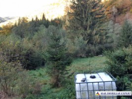 teren-extravilan-5005-mp-de-vanzare-rucar-satic-arges-ideal-pentru-proiecte-agricole-recreative-sau-de-investitie-in-turism-14