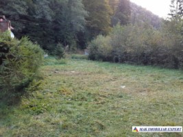 teren-extravilan-5005-mp-de-vanzare-rucar-satic-arges-ideal-pentru-proiecte-agricole-recreative-sau-de-investitie-in-turism-19