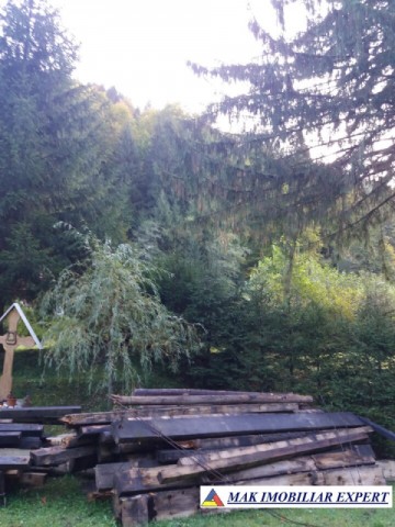 teren-extravilan-5005-mp-de-vanzare-rucar-satic-arges-ideal-pentru-proiecte-agricole-recreative-sau-de-investitie-in-turism-22