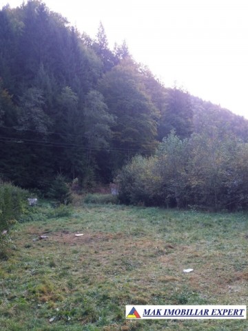 teren-extravilan-5005-mp-de-vanzare-rucar-satic-arges-ideal-pentru-proiecte-agricole-recreative-sau-de-investitie-in-turism-24