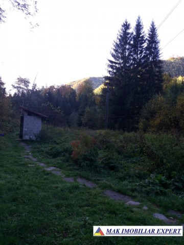 teren-extravilan-5005-mp-de-vanzare-rucar-satic-arges-ideal-pentru-proiecte-agricole-recreative-sau-de-investitie-in-turism-25