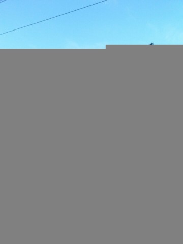 teren-extravilan-5005-mp-de-vanzare-rucar-satic-arges-ideal-pentru-proiecte-agricole-recreative-sau-de-investitie-in-turism-28