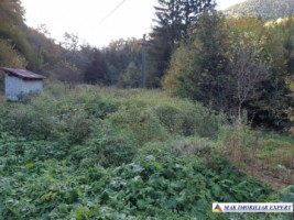 teren-extravilan-5005-mp-de-vanzare-rucar-satic-arges-ideal-pentru-proiecte-agricole-recreative-sau-de-investitie-in-turism-33