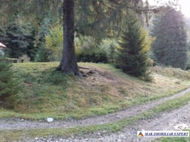 teren-extravilan-5005-mp-de-vanzare-rucar-satic-arges-ideal-pentru-proiecte-agricole-recreative-sau-de-investitie-in-turism-34