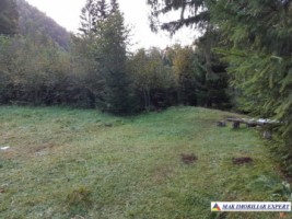 teren-extravilan-5005-mp-de-vanzare-rucar-satic-arges-ideal-pentru-proiecte-agricole-recreative-sau-de-investitie-in-turism-35