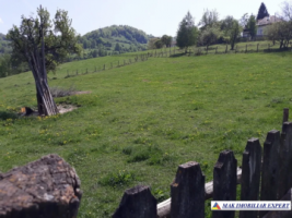 teren-intravilan-2600-mp-de-vanzare-rucar-arges-ideal-pentru-dezvoltare-turistica-sau-resedinta-de-vacanta-1