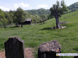 teren-intravilan-2600-mp-de-vanzare-rucar-arges-ideal-pentru-dezvoltare-turistica-sau-resedinta-de-vacanta-2