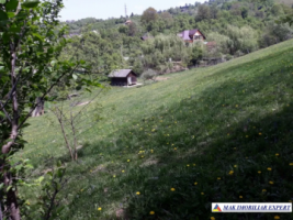 teren-intravilan-2600-mp-de-vanzare-rucar-arges-ideal-pentru-dezvoltare-turistica-sau-resedinta-de-vacanta-5