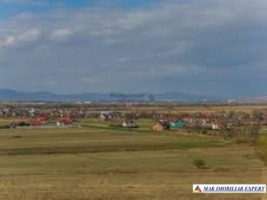 proiect-rezidential-246-vile-teren-22-ha-de-vanzare-in-bod-brasov-oportunitate-de-dezvoltare-7