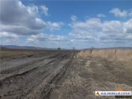 proiect-rezidential-246-vile-teren-22-ha-de-vanzare-in-bod-brasov-oportunitate-de-dezvoltare-10