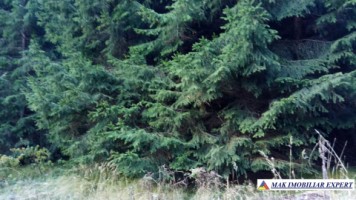 teren-extravilan-3996-mp-constructie-216-mp-rucar-satic-arges-ideal-pentru-proiecte-turistice-agroturism-sau-dezvoltari-rurale-60