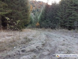 teren-extravilan-3996-mp-constructie-216-mp-rucar-satic-arges-ideal-pentru-proiecte-turistice-agroturism-sau-dezvoltari-rurale-61
