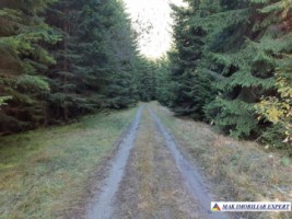 teren-extravilan-3996-mp-constructie-216-mp-rucar-satic-arges-ideal-pentru-proiecte-turistice-agroturism-sau-dezvoltari-rurale-63