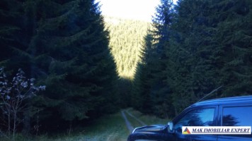 teren-extravilan-3996-mp-constructie-216-mp-rucar-satic-arges-ideal-pentru-proiecte-turistice-agroturism-sau-dezvoltari-rurale-68