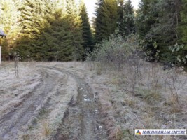 teren-extravilan-3996-mp-constructie-216-mp-rucar-satic-arges-ideal-pentru-proiecte-turistice-agroturism-sau-dezvoltari-rurale-69
