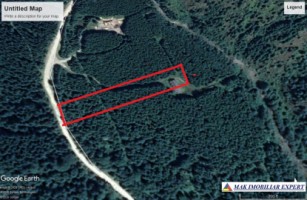 teren-extravilan-3996-mp-constructie-216-mp-rucar-satic-arges-ideal-pentru-proiecte-turistice-agroturism-sau-dezvoltari-rurale-82