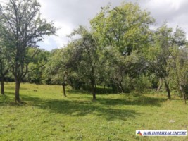 teren-4800-mp-intravilan-de-vanzare-in-godeni-arges-ideal-pentru-dezvoltari-rezidentiale-sau-comerciale