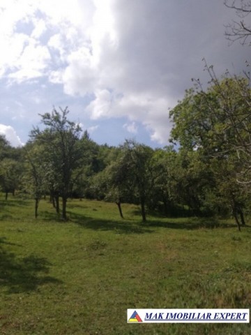 teren-4800-mp-intravilan-de-vanzare-in-godeni-arges-ideal-pentru-dezvoltari-rezidentiale-sau-comerciale-2