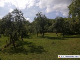 teren-4800-mp-intravilan-de-vanzare-in-godeni-arges-ideal-pentru-dezvoltari-rezidentiale-sau-comerciale-3