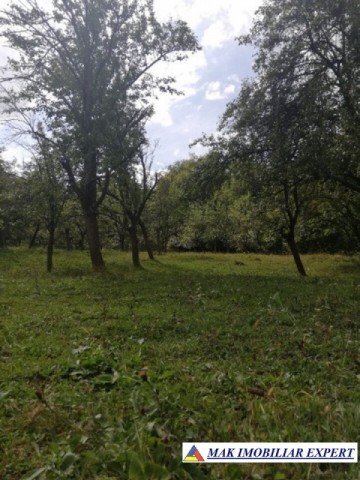 teren-4800-mp-intravilan-de-vanzare-in-godeni-arges-ideal-pentru-dezvoltari-rezidentiale-sau-comerciale-4