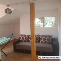 vila-9-camere-de-vanzare-in-godeni-arges-teren-de-1000-mp-ideal-pentru-investitie-sau-locuinta-de-familie-4