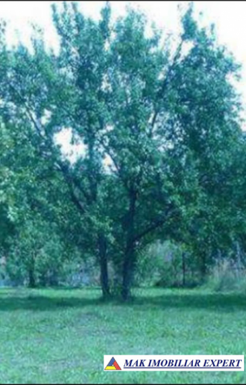 teren-intravilan-3278-mp-de-vanzare-in-bughea-de-sus-arges