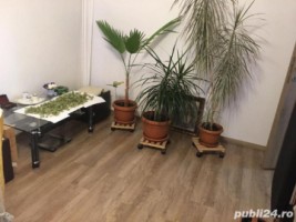 3-camere-grigorescusalajan-4