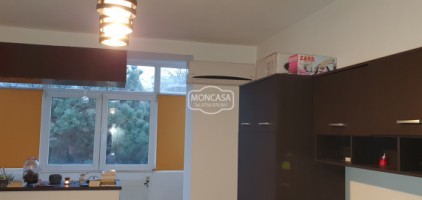 apartament-2-camere-octav-onicescu-zona-parcului-12