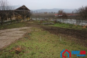 ferma-functionala-in-judetul-sibiu-0